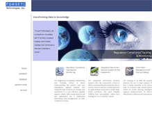 Tablet Screenshot of forseti.com